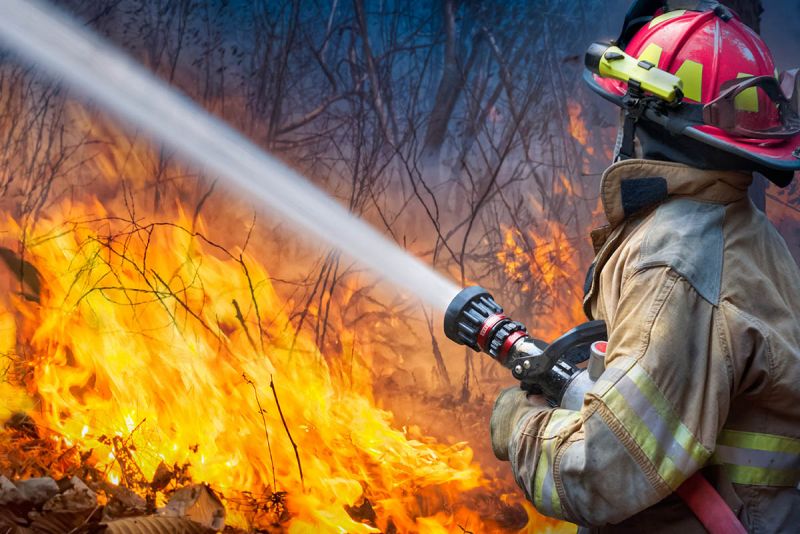 ¡Cuidado! Fuego. Cómo prevenir un incendio forestal y actuar en caso de producirse
