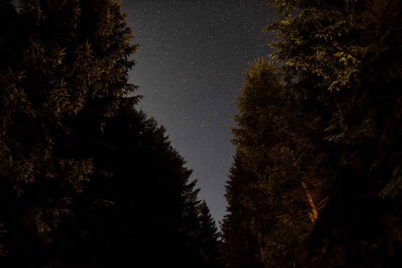 Lluvia de estrellas desde el Camping Río Mundo: cómo disfrutar de una noche mágica en los Calares