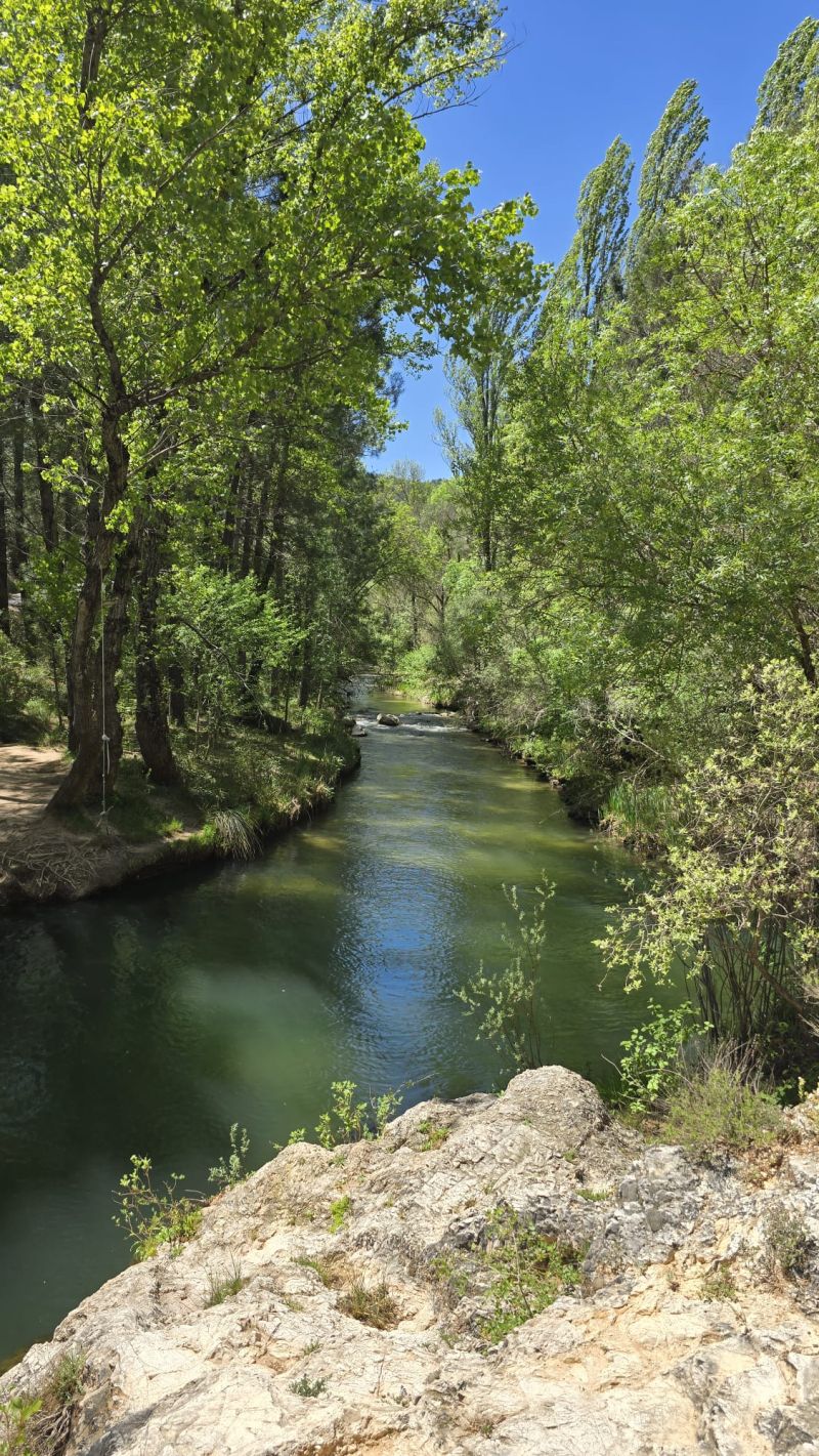 Qué nos ofrece la primavera en el Campingred Río Mundo